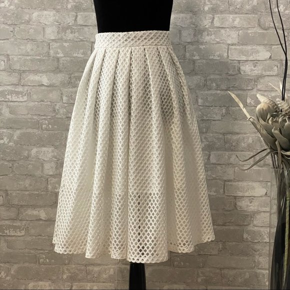 SOLD | Elegant Perforated Eyelet Poodle Skirt NWOT ⚡️HOST PICK⚡️ - Picture 6 of 14